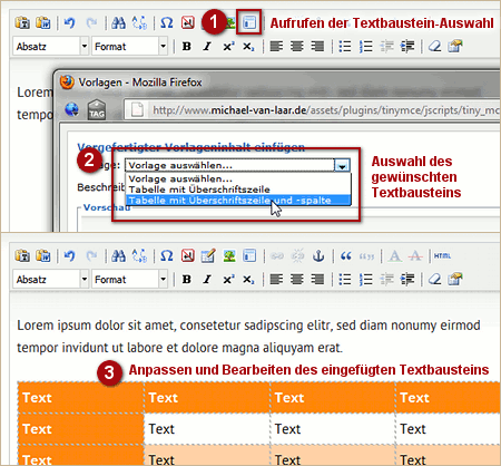 Beispiel 4: Einfügen eines vom Webdesigner angelegten Textbausteins im TinyMCE