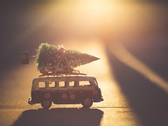 Kleiner Tannenbaum, festgezurrt auf einem Spielzeug-Bus